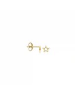 Blush 14K Gold Earring