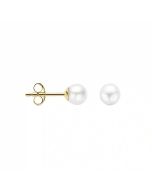 Blush 14K Gold Earring