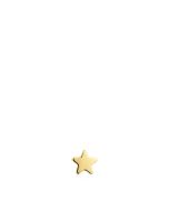 TOUS 18K Gold Plated Silver Charm