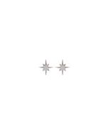 L'atelier Precieux Silver Earring